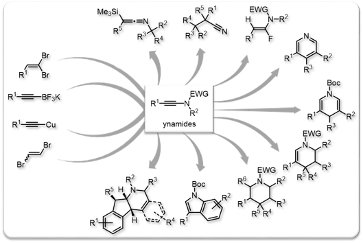 2016 Chem Lett Ynamides