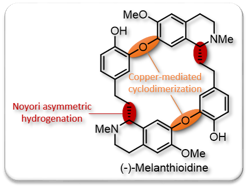 2016 Org Lett Melanthioidine