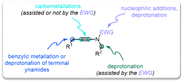 2017 CRChimie Review Anionic Chemistry Ynamides