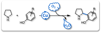 2017 LOC Arylation Pyrrolidine