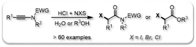 2020 ACIE Halogenated Amides and Esters