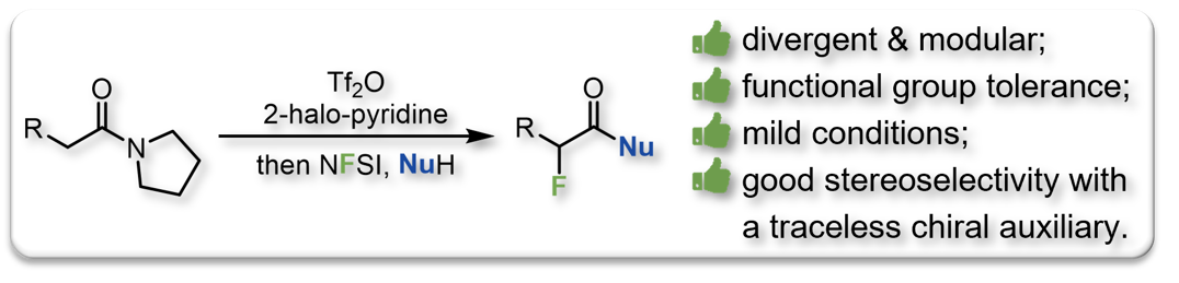 2021 Org Lett Fluorinative Double Electrophilic Activation Amides