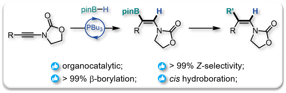 2022 Chem Comm Hydroboration Ynamides