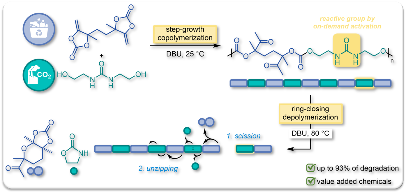 2022 Macromolecules Depolymerization