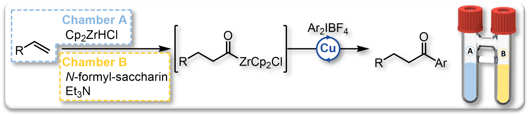 2023 EurJOC Acylzirconium