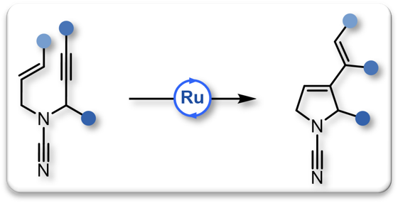 2023 RCEYM Cyanamides