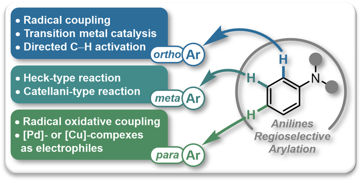 2023 Synthesis Review Arylation Anilines