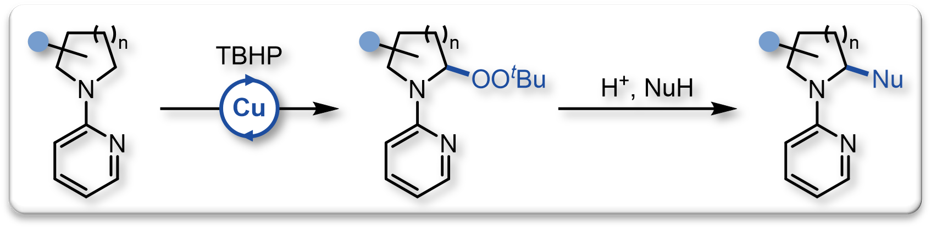 2024 Arkivoc alpha Peroxidation Amines