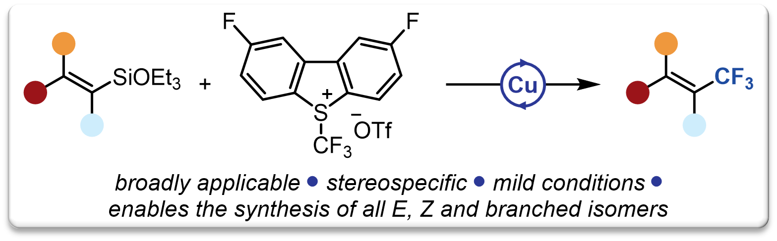 2025 ChemRxiv Trifluoromethylation Vinylsiloxanes
