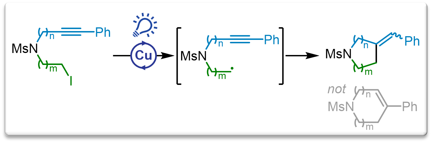 2025 Synlett Radical Cyclizations Nitrogen Heterocycles