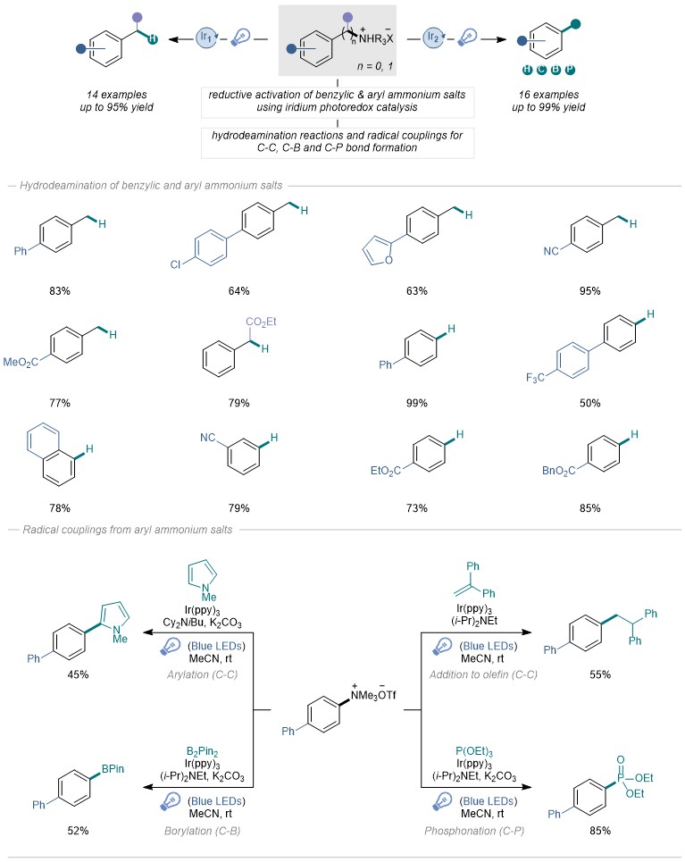 Natural products synthesized