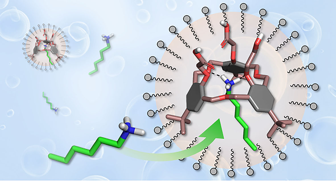 TOC oxa3micelles 220520