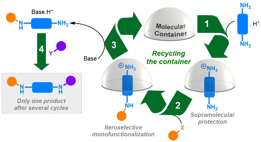 TOCorgchemfront2023