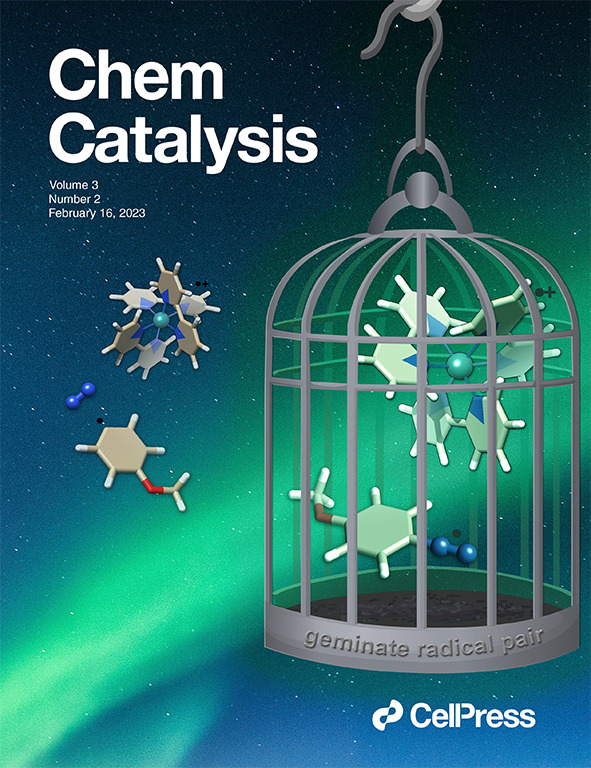 cover Chem Cat 2023.jpg