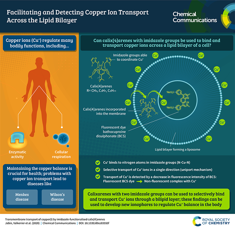 d0cc03555f Valkenier infographic final