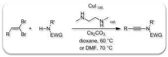 acie_2009_ynamides