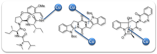 chem._commun._2009_feature