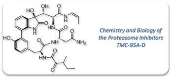 cr_chimie_tmc_2007