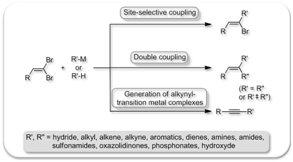 isr._j._chem._2010