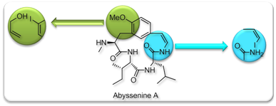 j._org._chem._2007_abyssenine