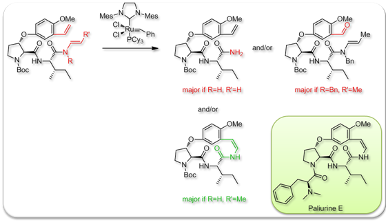 j._org._chem._2008._rcm_cyclopeptides