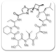 let._org._chem._2010_vioprolides