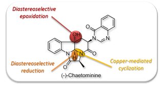 org._lett._2008_chaetominine