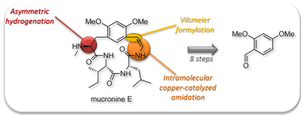 synlett_2008_mucronine_e